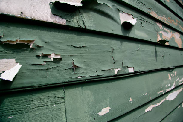 Best Fascia and Soffit Installation  in Ossun, LA