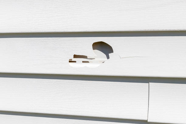 Best Siding Removal and Disposal  in Ossun, LA