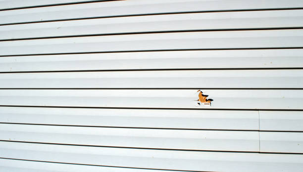 Historical Building Siding Restoration in Ossun, LA