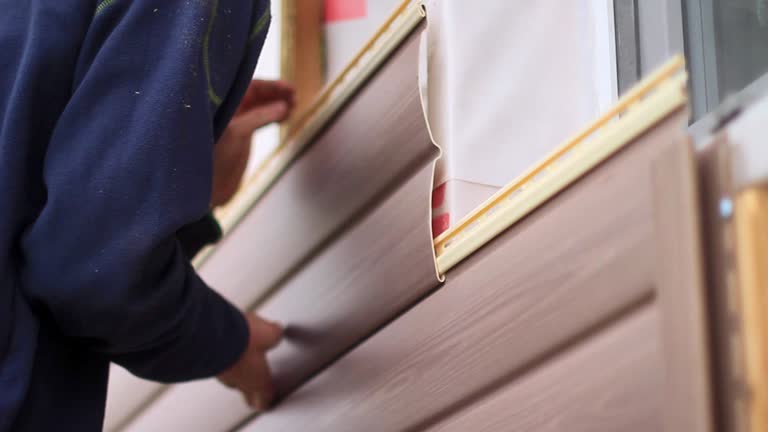 Best Custom Trim and Detailing for Siding  in Ossun, LA